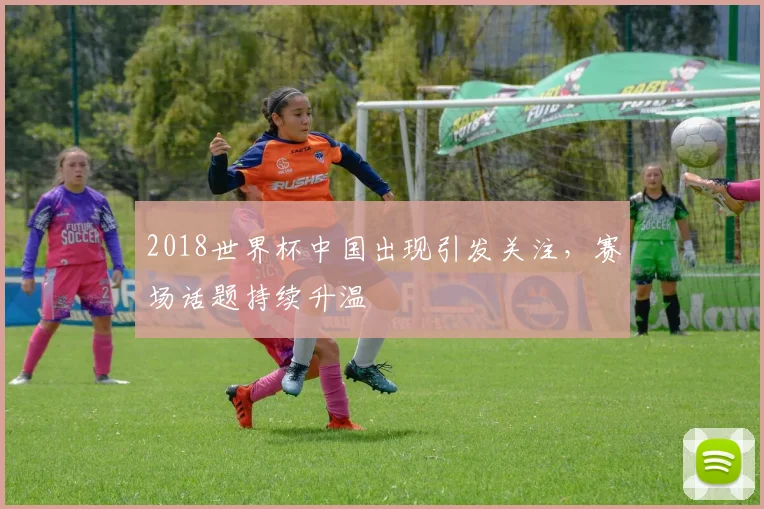 2018世界杯中国出现引发关注，赛场话题持续升温