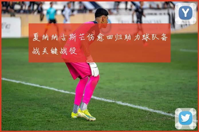夏纳纳古斯芒伤愈回归助力球队备战关键战役