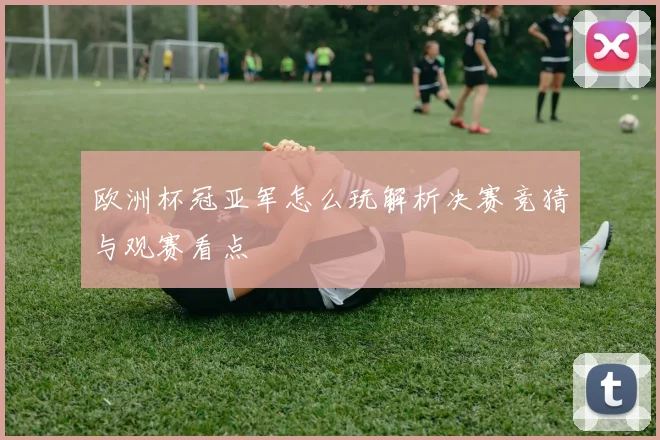 欧洲杯冠亚军怎么玩解析决赛竞猜与观赛看点