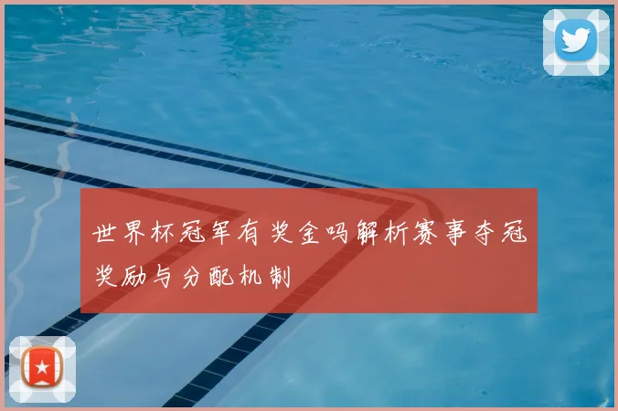 世界杯冠军有奖金吗解析赛事夺冠奖励与分配机制