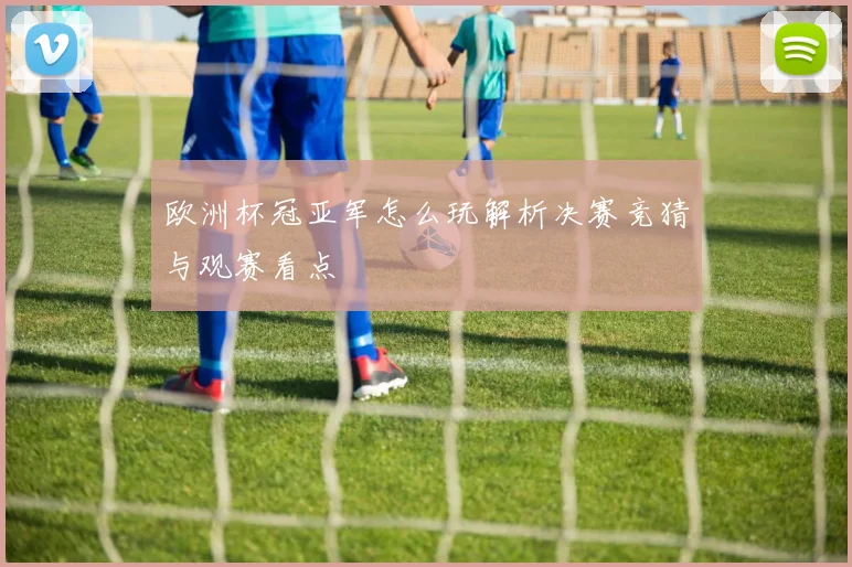 欧洲杯冠亚军怎么玩解析决赛竞猜与观赛看点