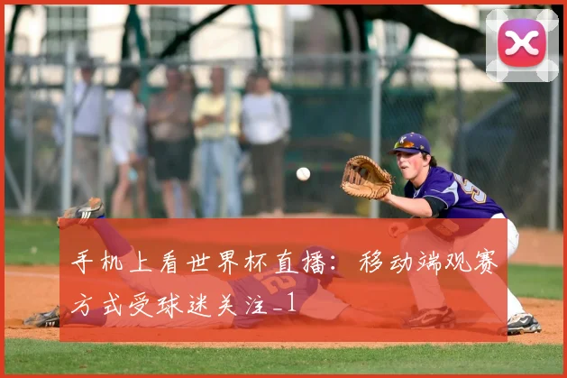 手机上看世界杯直播：移动端观赛方式受球迷关注_1